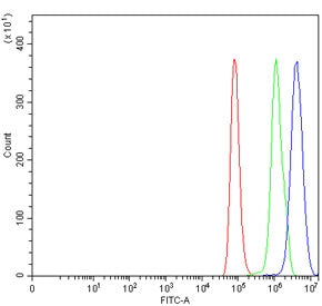 Flow cytometry testing of human HeLa cells with BRDT antibody at 1ug/million cells (blocked with goa
