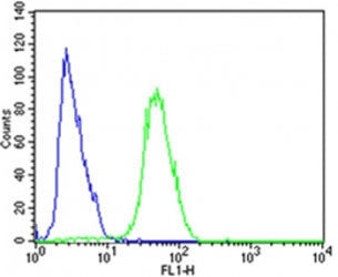 Flow cytometric analysis of SH-SY5Y cells using CDK5 antibody (green) compared to an isotype control