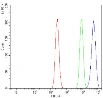 Flow cytometry testing of fixed and permeabilized human MCF7 cells with LDLR antibody at 1ug/million