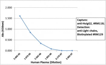 Human IgG2 Antibody