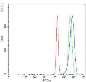Flow cytometry testing of human U-2 OS cells with SLC3A1 antibody at 1ug/million cells (blocked with