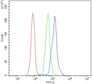 Cd82 Antibody