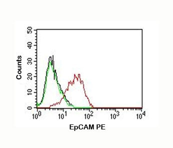 FACS testing of MCF-7 cells: Black=cells alone; Green=isotype control; Red=EpCAM antibody