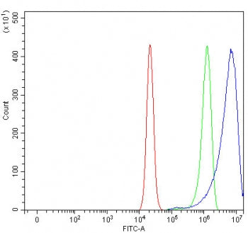 Flow cytometry testing of human RT4 cells with URI1 antibody at 1ug/million cells (blocked with goat
