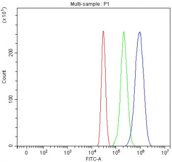Flow cytometry testing of fixed and permeabilized human HepG2 cells with IGF2R antibody at 1ug/milli