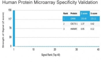 Analysis of HuProt(TM) microarray containing more than 19,000 full-length human proteins using recom