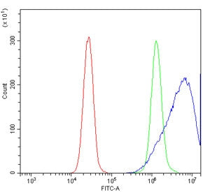 Neurogranin Antibody