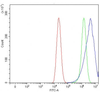 Flow cytometry testing of human Caco-2 cells with Rhotekin antibody at 1ug/million cells (blocked wi