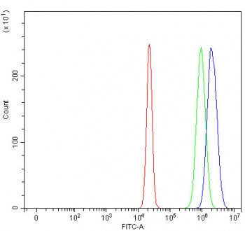 Flow cytometry testing of human U-2 OS cells with RUNDC1 antibody at 1ug/million cells (blocked with