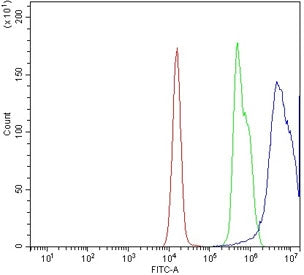 Flow cytometry testing of human JK-1 cells with CXCR4 antibody at 1ug/million cells (blocked with go