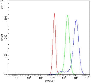 Flow cytometry testing of fixed human JK-1 cells with CD2 antibody at 1ug/million cells (blocked wit