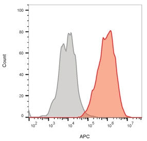 FACS staining of bead-bound exosomes derived from MCF-7 cells: Unstained exosomes (gray) and exosome
