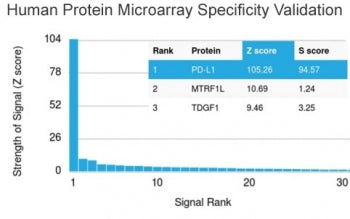 Analysis of HuProt(TM) microarray containing more than 19,000 full-length human proteins using PDL1 