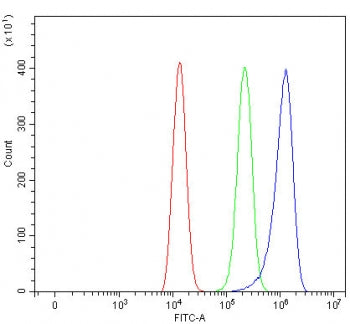Flow cytometry testing of human HEL cells with SIGLEC12 antibody at 1ug/million cells (blocked with 