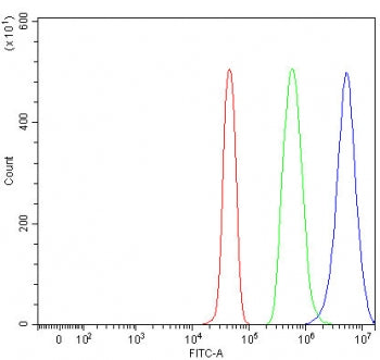 TXNDC17 Antibody / Thioredoxin domain-containing protein 17 / TRP14