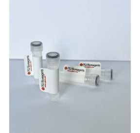 Recombinant CD147 Antibody / Emmprin / Basigin, 20 ug