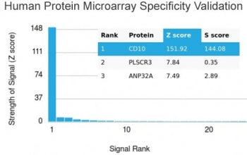 Analysis of HuProt(TM) microarray containing more than 19,000 full-length human proteins using CD10 