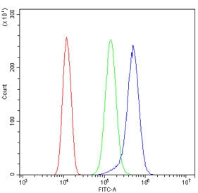 IDH2 Antibody / Isocitrate dehydrogenase 2