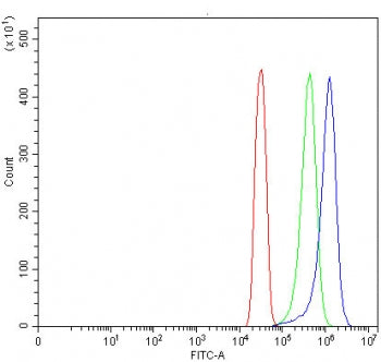 Flow cytometry testing of human SiHa cells with TMEM132A antibody at 1ug/million cells (blocked with