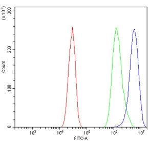 Flow cytometry testing of mouse HEPA1-6 cells with Slc7a9 antibody at 1ug/million cells (blocked wit