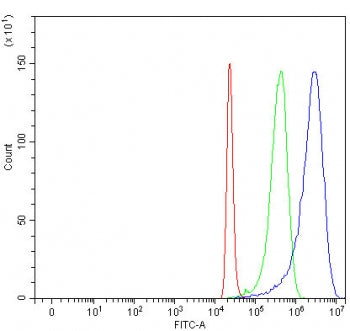 Flow cytometry testing of fixed and permeabilized human 293T cells with Alpha SNAP antibody at 1ug/million cells (blocked with goat sera); Red=cells alone, Green=isotype control, Blue= Alpha SNAP antibody.