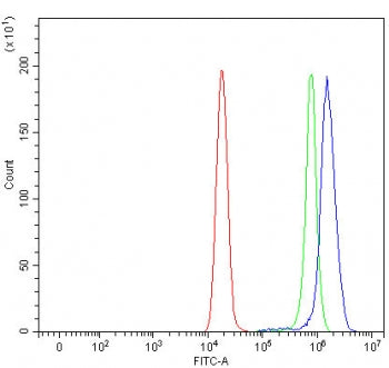 Flow cytometry testing of fixed and permeabilized human HeLa cells with E2F1 antibody at 1ug/million