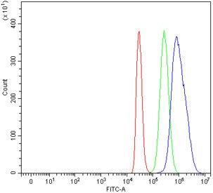 Flow cytometry testing of human HepG2 cells with CDT1 antibody at 1ug/million cells (blocked with go