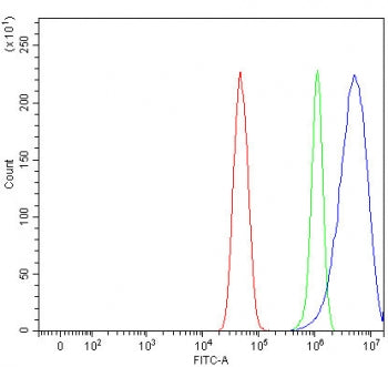 Flow cytometry testing of fixed and permeabilized human U-251 cells with NSUN3 antibody at 1ug/milli