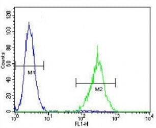 SOX1 Antibody