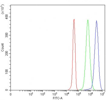 PIANP Antibody / C12orf53