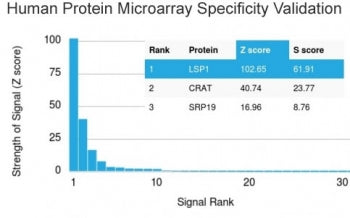 Analysis of HuProt(TM) microarray containing more than 19,000 full-length human proteins using LSP1 