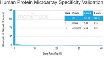 Prolactin Antibody / PRL