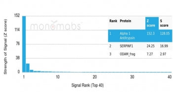 Analysis of a HuProt(TM) microarray containing more than 19,000 full-length human proteins using Alp