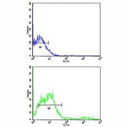 Flow cytometric analysis of NCI-H292 cells using CD8 antibody (bottom histogram) compared to a negat