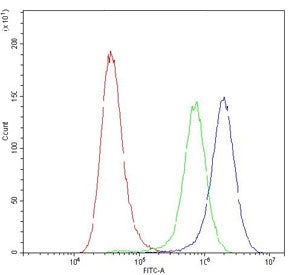 Flow cytometry testing of human A549 cells with APRT antibody at 1ug/10^6 cells (blocked with goat s