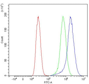 TTPA Antibody / Alpha-tocopherol transfer protein