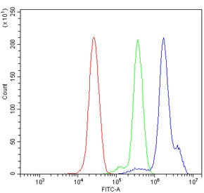 NLRP3 Antibody / NALP3