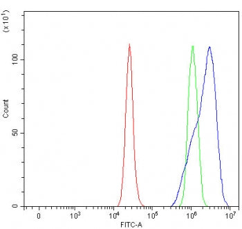 PRELP Antibody / Prolargin