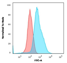Annexin A1 Antibody