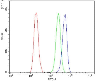 SMARCA2 Antibody / BRM