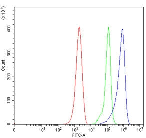 Mavs Antibody (Ips-1)