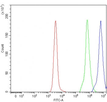 Flow cytometry testing of fixed and permeabilized human Daudi cells with TMEM5 antibody at 1ug/milli