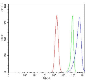 Flow cytometry testing of human Caco-2 cells with GAST antibody at 1ug/million cells (blocked with g