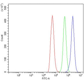 Flow cytometry testing of rat NRK cells with Cd226 antibody at 1ug/million cells (blocked with goat 