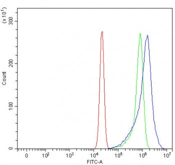 Flow cytometry testing of human U-2 OS cells with RASGRP1 antibody at 1ug/million cells (blocked wit