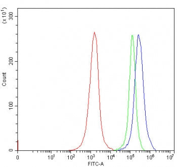 Endophilin-A3 Antibody / SH3GL3