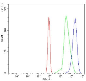 Flow cytometry testing of mouse ANA-1 cells with Gbp4 antibody at 1ug/million cells (blocked with go