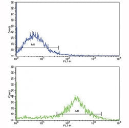 Flow cytometric analysis of NCI-H292 cells using IL-1B antibody (bottom histogram) compared to a neg