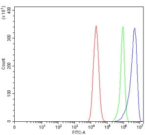 Flow cytometry testing of human Caco-2 cells with Glutaminase 2 antibody at 1ug/million cells (block