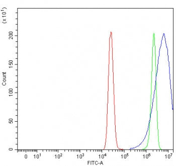 PREX1 Antibody